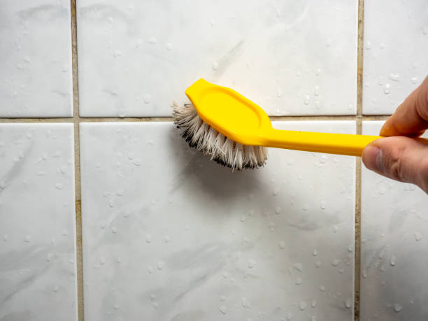 Best Affordable Mold Removal  in Scanlon, MN