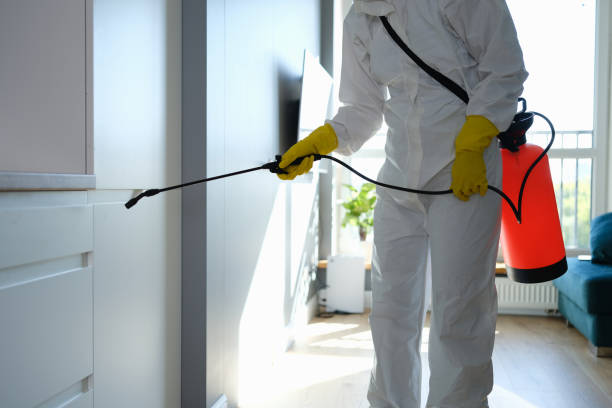 Best Mold Cleaning Services  in Scanlon, MN